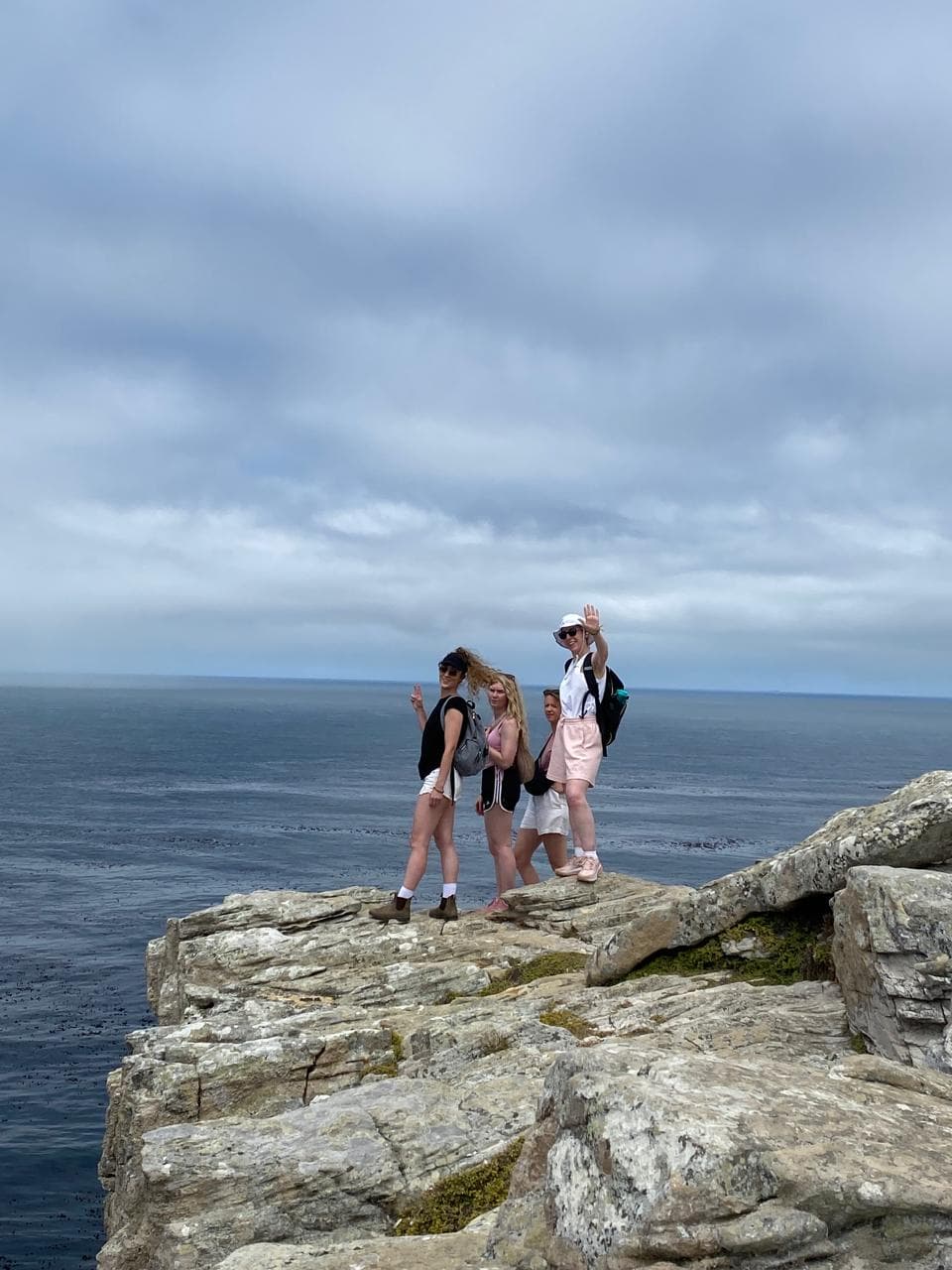 Full day Cape Peninsular Tour 2