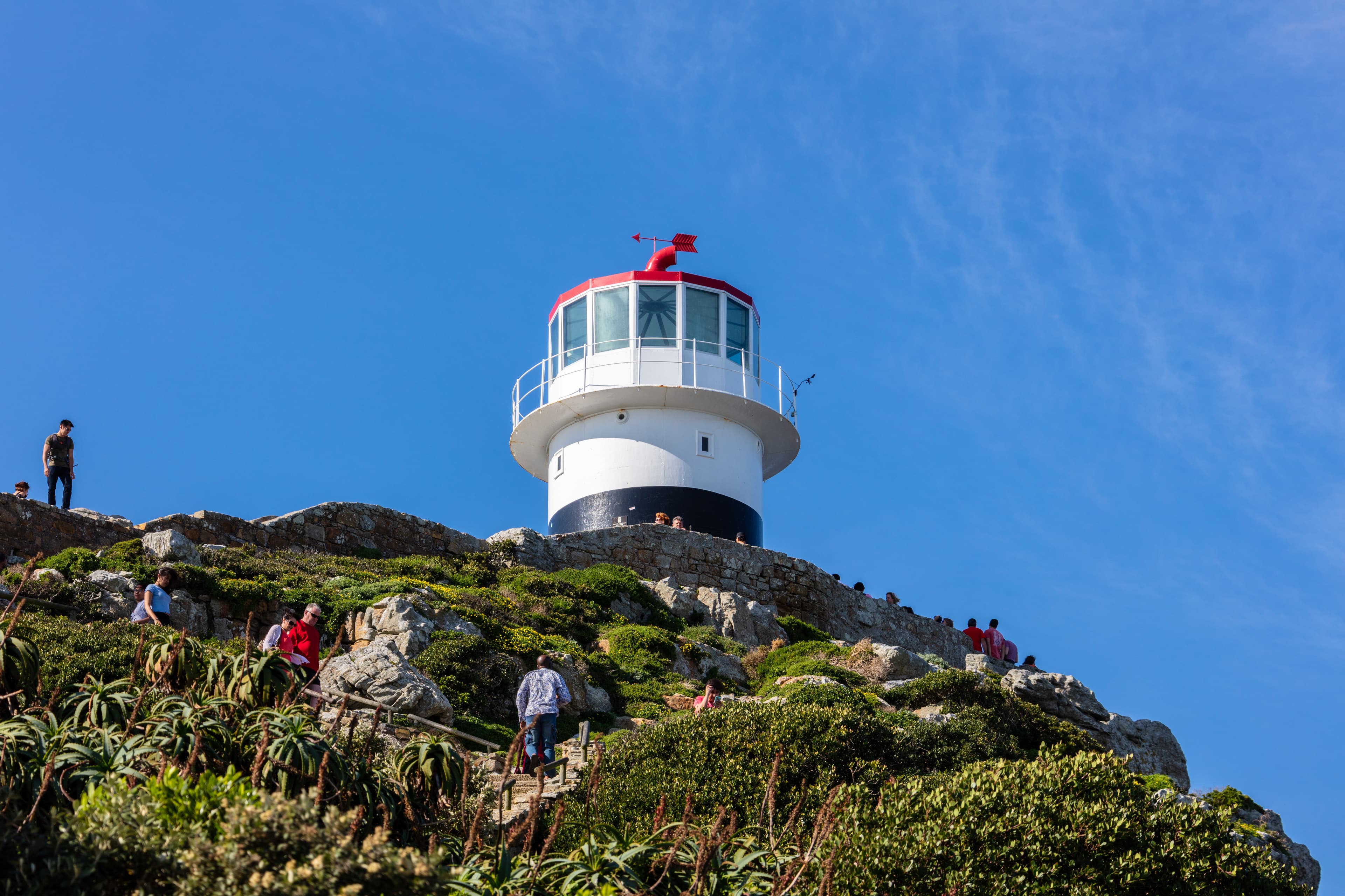 Full day Cape Peninsular Tour 3