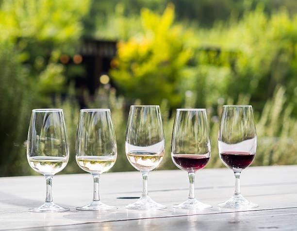 Full day Winelands Tour